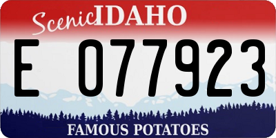 ID license plate E077923