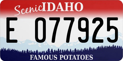 ID license plate E077925
