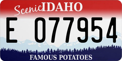 ID license plate E077954