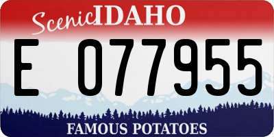 ID license plate E077955