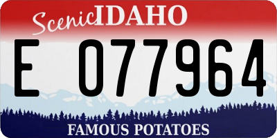ID license plate E077964