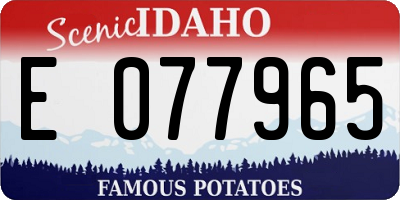 ID license plate E077965