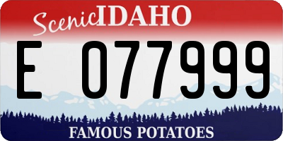 ID license plate E077999