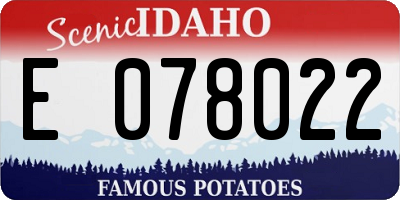 ID license plate E078022