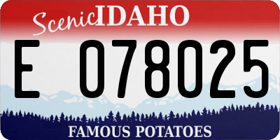 ID license plate E078025