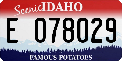 ID license plate E078029