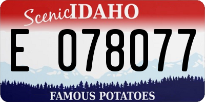 ID license plate E078077