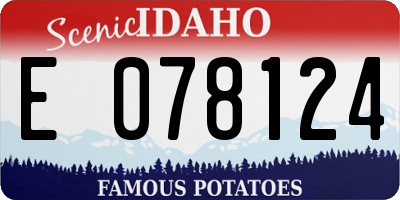 ID license plate E078124
