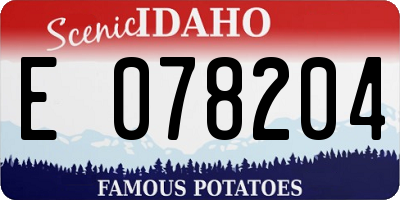 ID license plate E078204