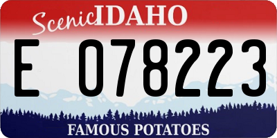 ID license plate E078223