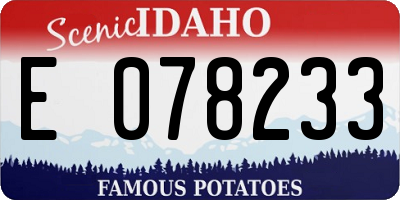 ID license plate E078233