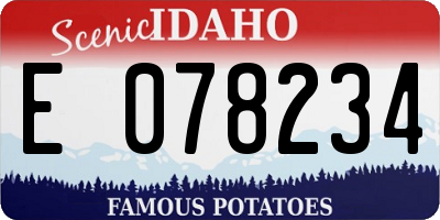ID license plate E078234