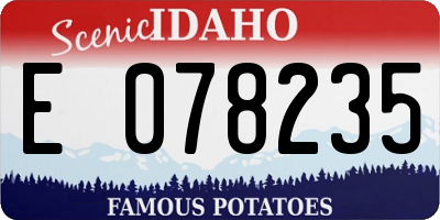 ID license plate E078235