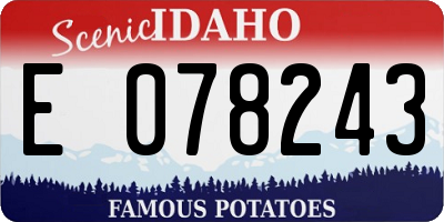 ID license plate E078243