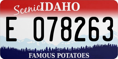ID license plate E078263