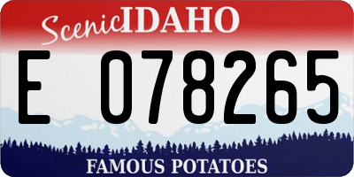 ID license plate E078265