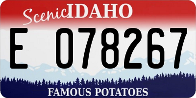 ID license plate E078267
