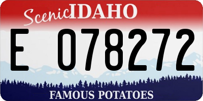 ID license plate E078272