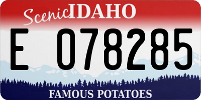 ID license plate E078285
