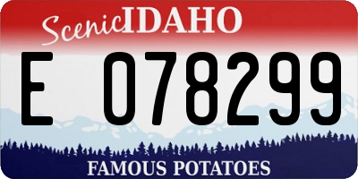 ID license plate E078299