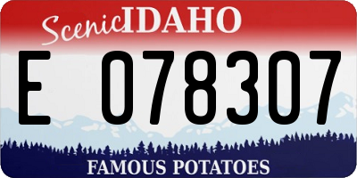 ID license plate E078307
