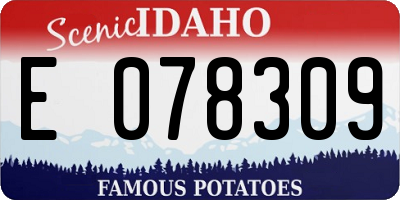 ID license plate E078309