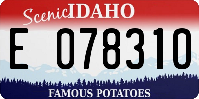 ID license plate E078310
