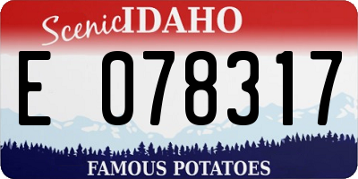 ID license plate E078317