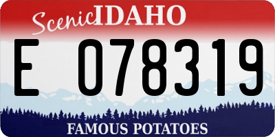 ID license plate E078319
