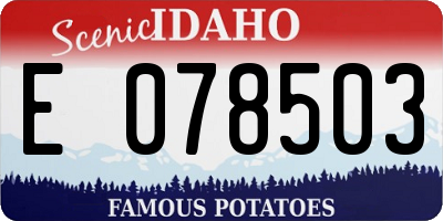 ID license plate E078503