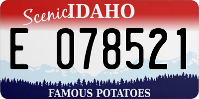 ID license plate E078521