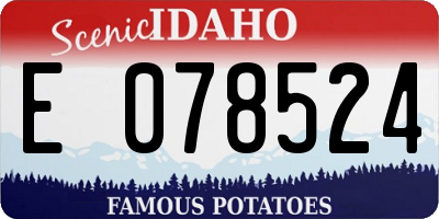 ID license plate E078524