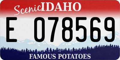 ID license plate E078569