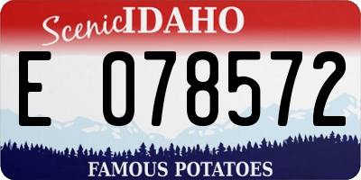ID license plate E078572