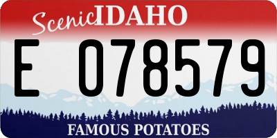 ID license plate E078579