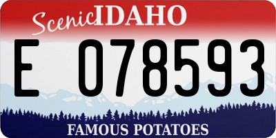 ID license plate E078593