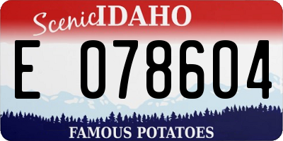 ID license plate E078604