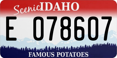 ID license plate E078607