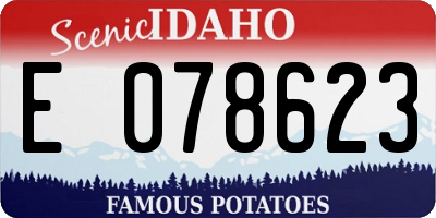 ID license plate E078623