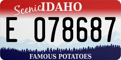 ID license plate E078687