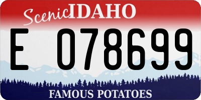 ID license plate E078699
