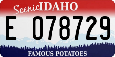 ID license plate E078729