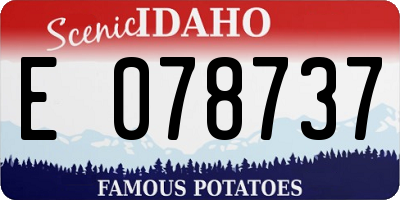 ID license plate E078737