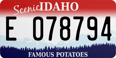 ID license plate E078794