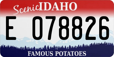 ID license plate E078826