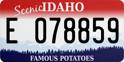 ID license plate E078859