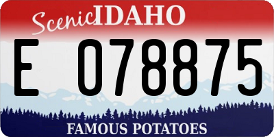 ID license plate E078875