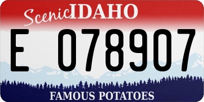 ID license plate E078907