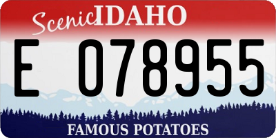 ID license plate E078955