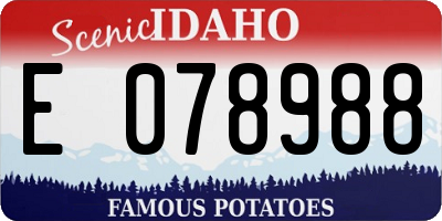 ID license plate E078988